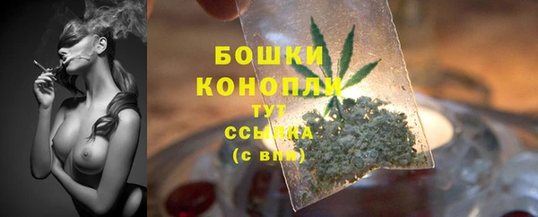 прущие грибы Волосово