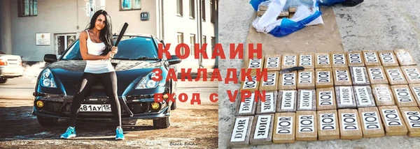 прущие грибы Волосово