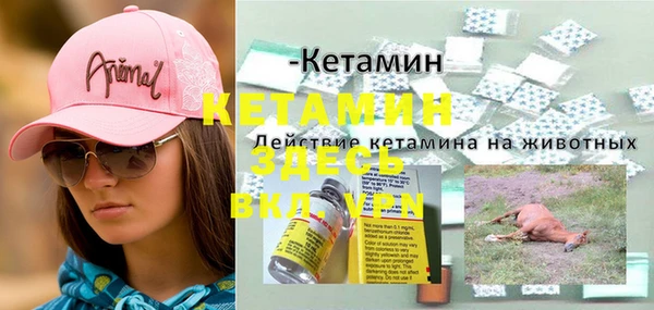 прущие грибы Волосово