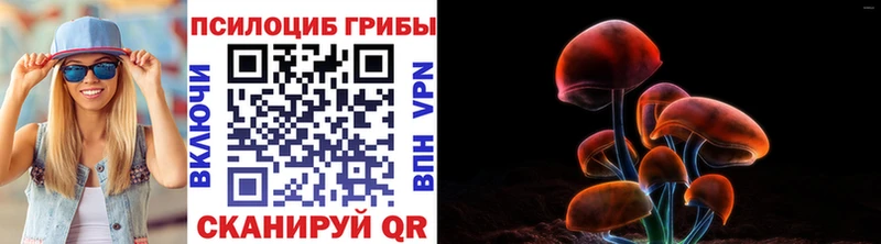 Купить  Меленки  Галлюциногенные грибы GOLDEN TEACHER 